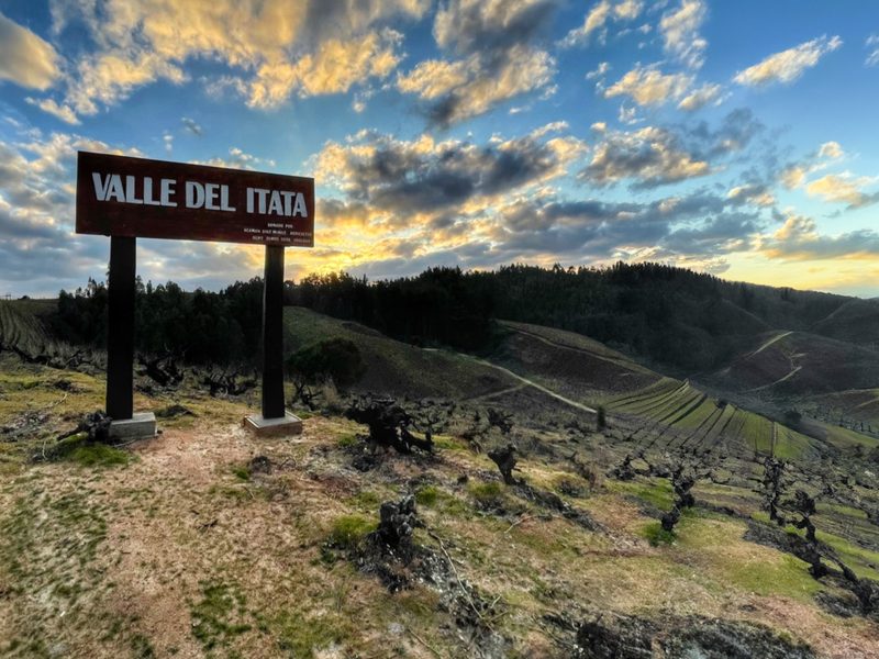 Viñedos del Valle del Itata